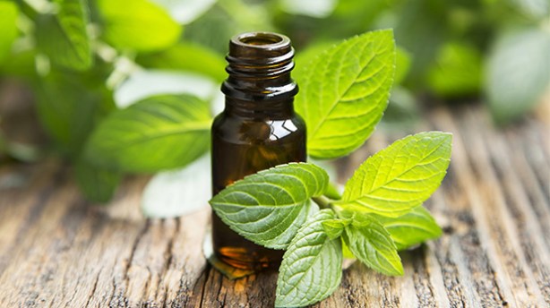 peppermint oil