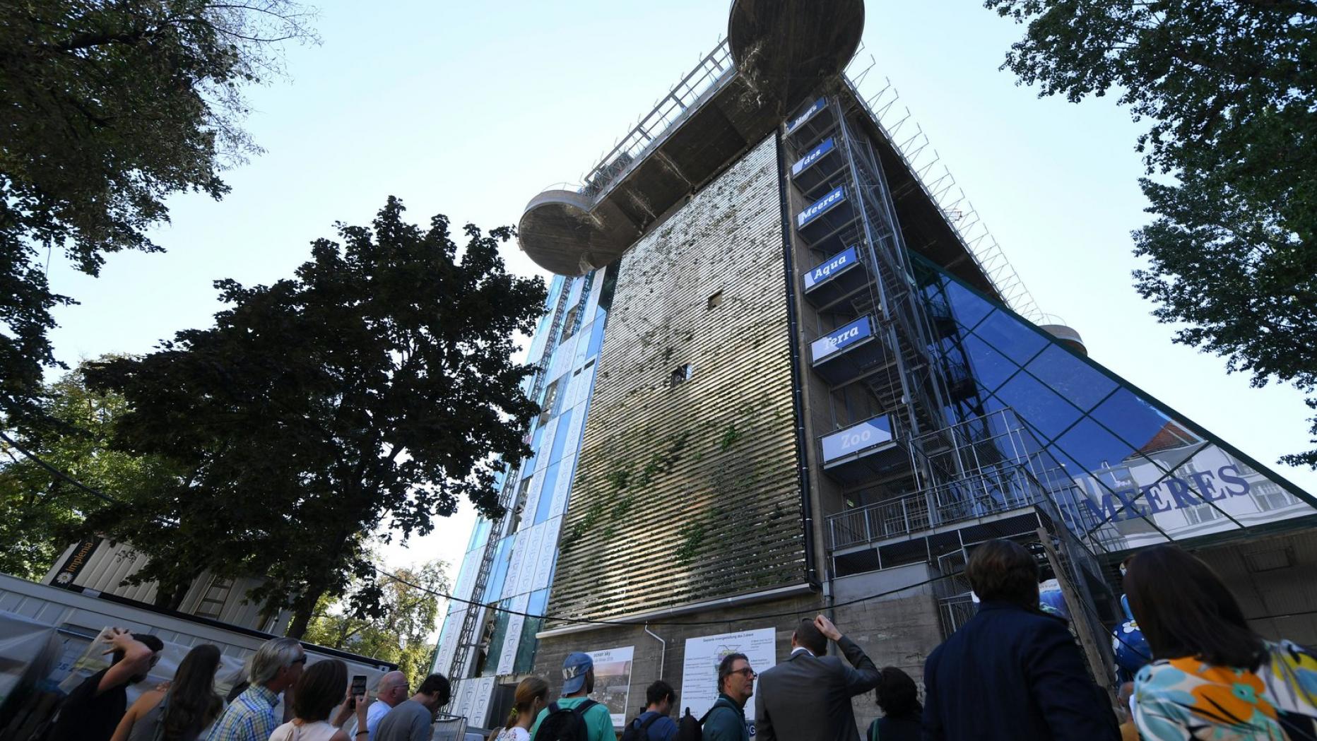 Haus des Meeres Treppenlauf