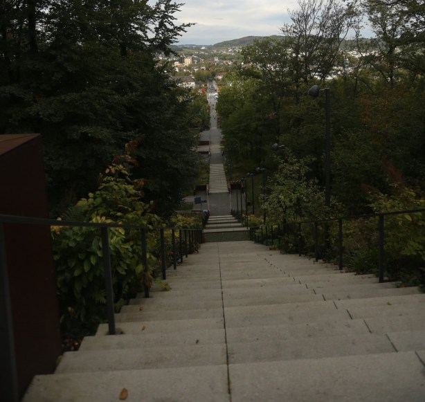 Hemeraner Treppenlauf