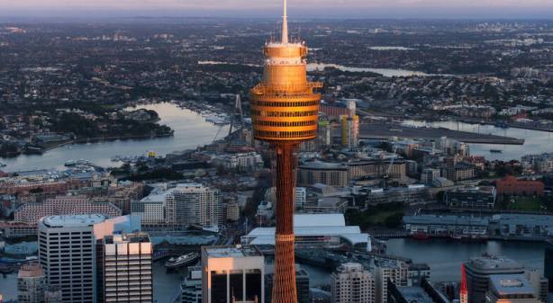 Sydney Tower Run-up winners